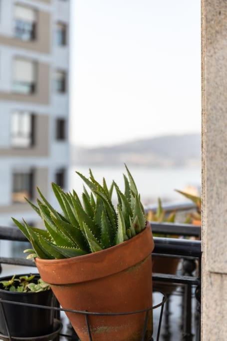Bonito Piso Con Vistas, Centrico, Acogedor Lejlighed Vigo Eksteriør billede